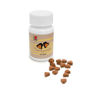 Cordycep Tablets (20PV)